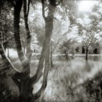 Camera obscura