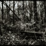 Camera obscura