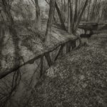 Camera obscura