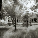 Camera obscura