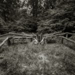 Camera obscura