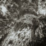 Camera obscura