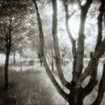 Camera obscura