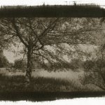 Vandykeprint